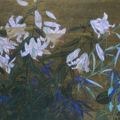 Radiant wild flower III